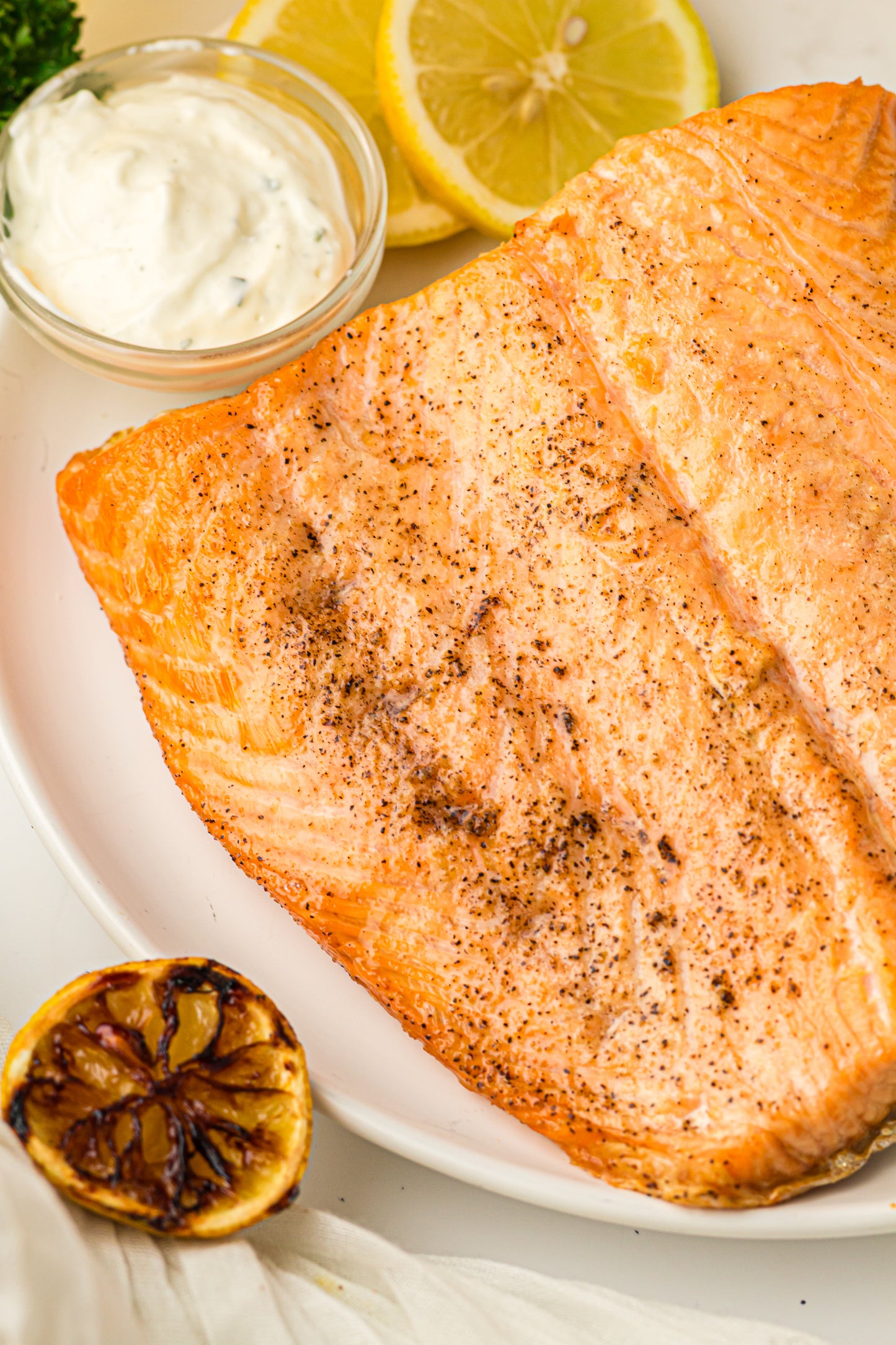 Ninja Woodfire Salmon