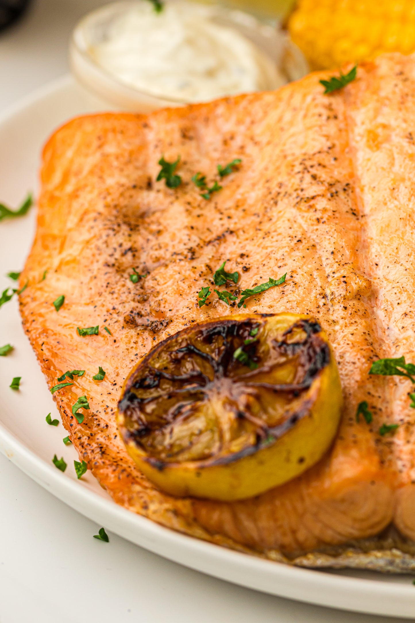 Ninja Woodfire Salmon