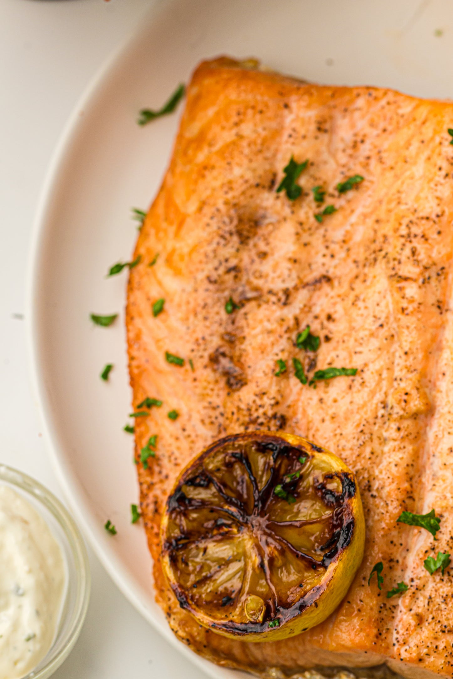 Ninja Woodfire Salmon