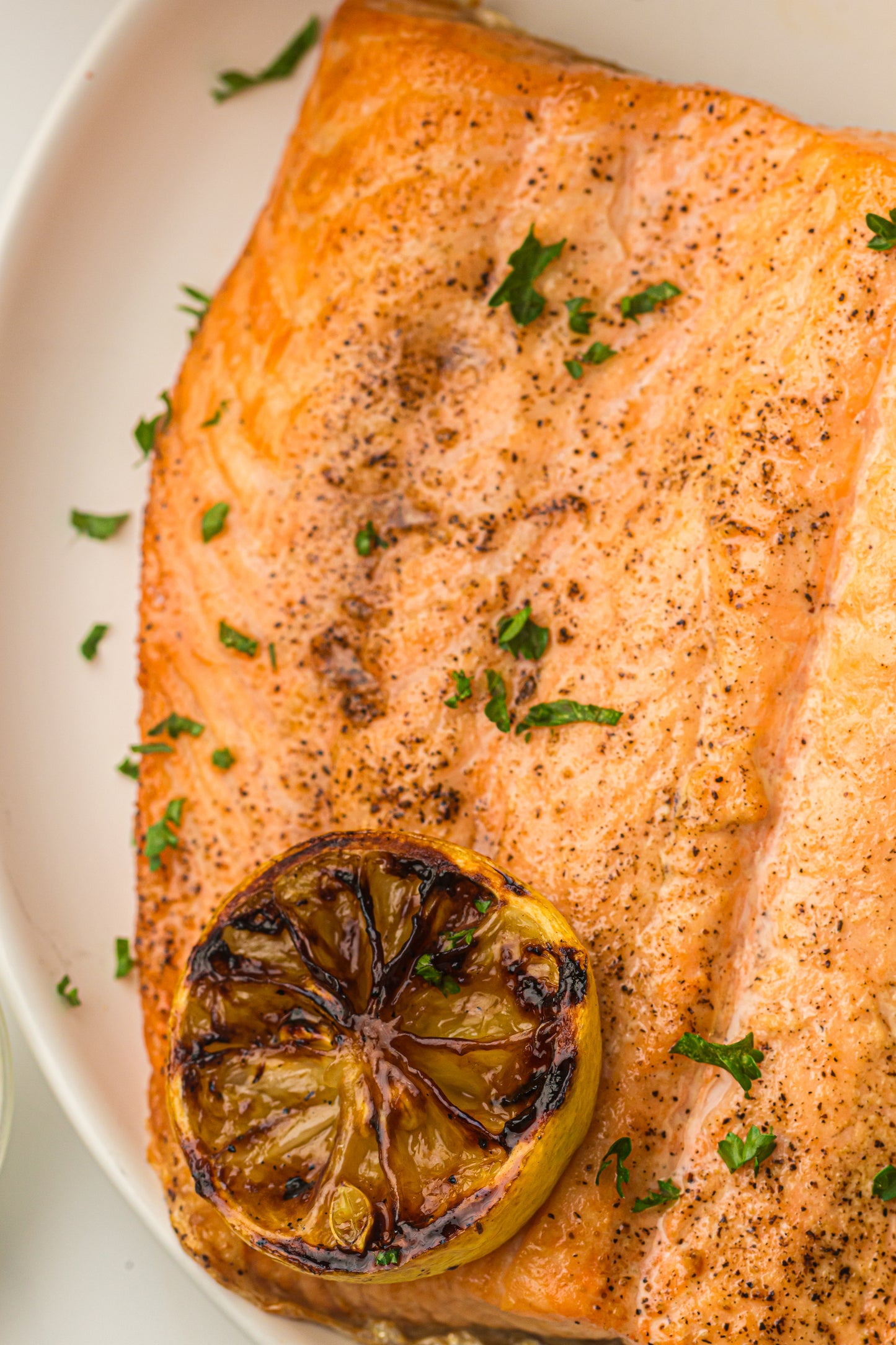 Ninja Woodfire Salmon