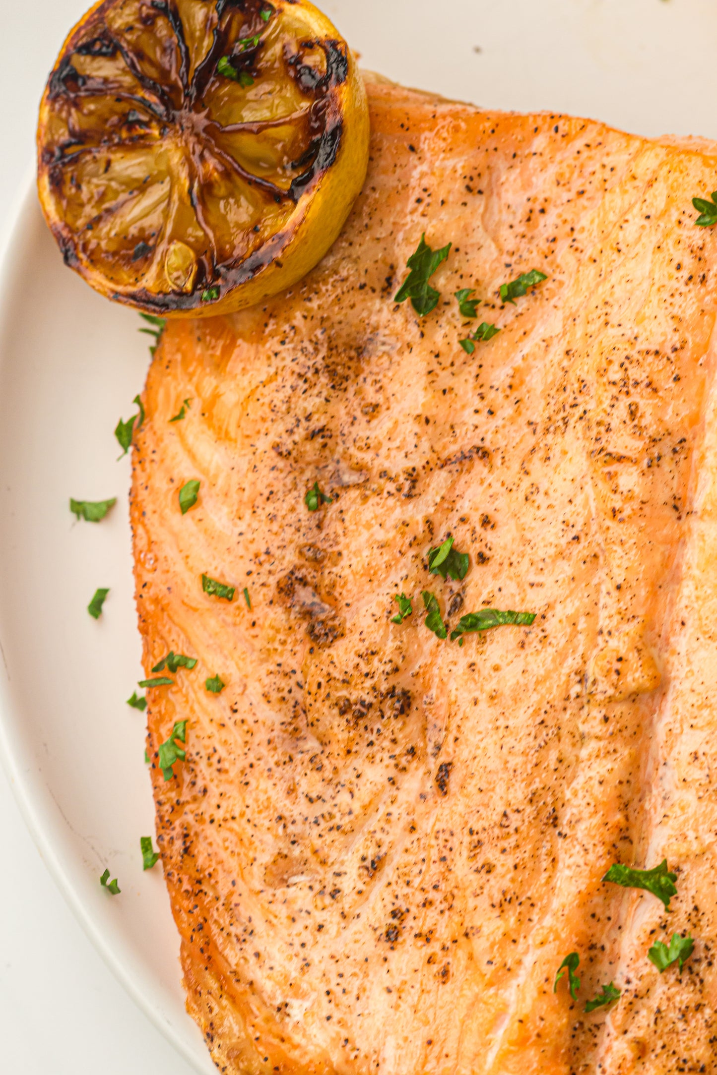 Ninja Woodfire Salmon