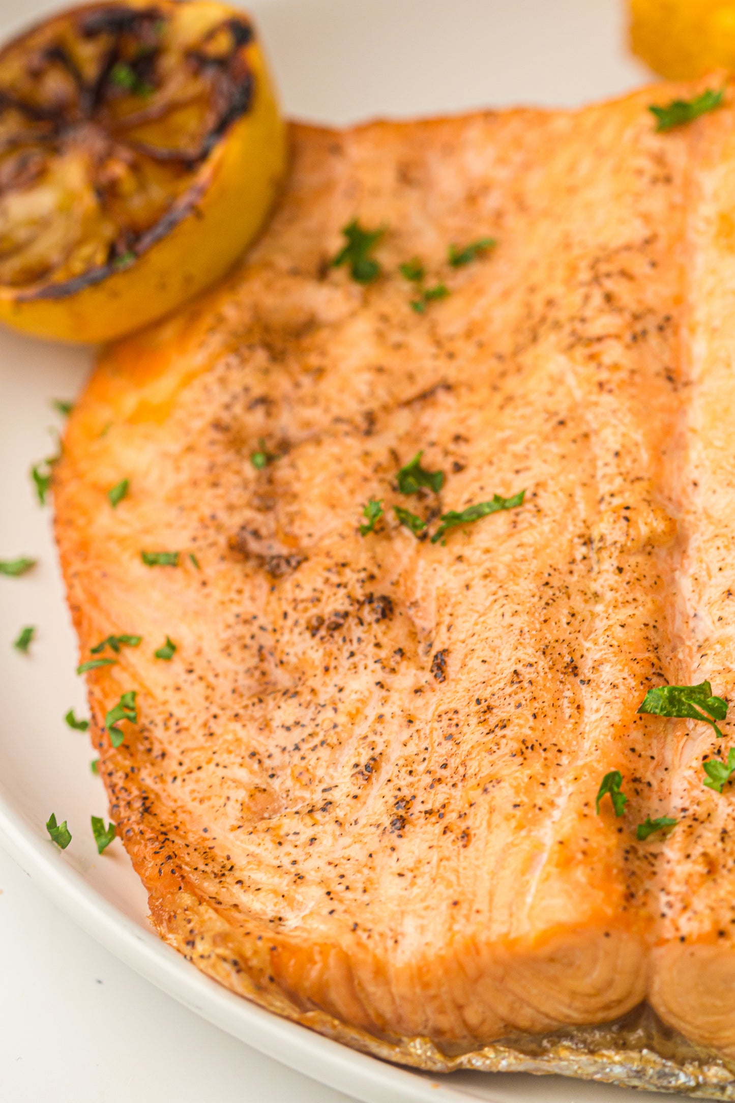 Ninja Woodfire Salmon