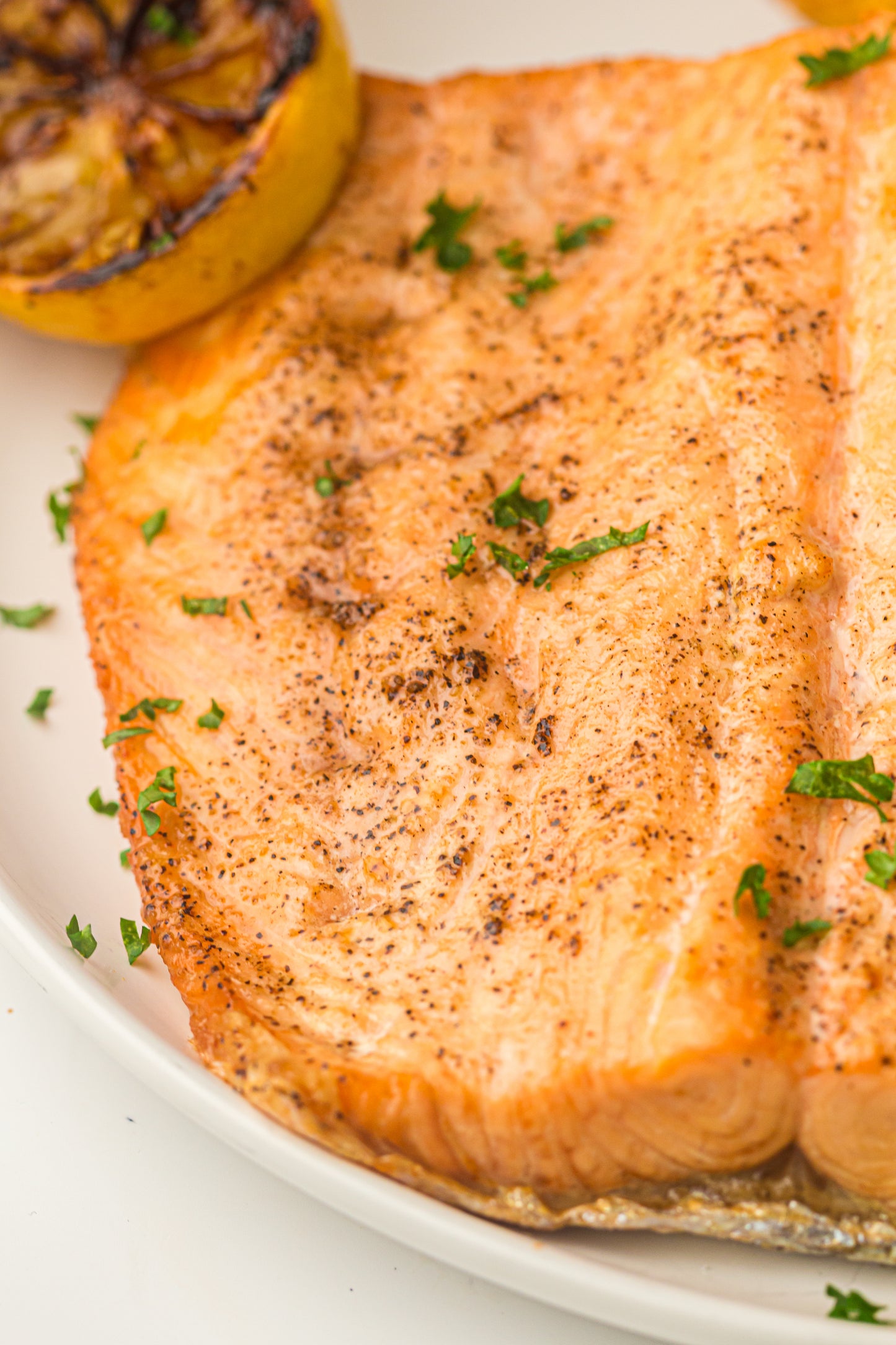 Ninja Woodfire Salmon