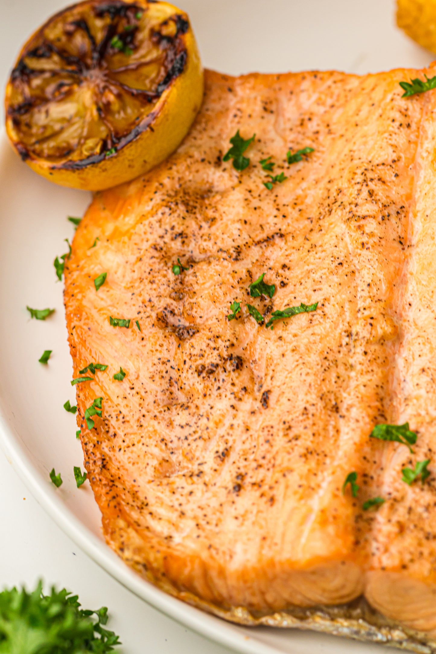 Ninja Woodfire Salmon