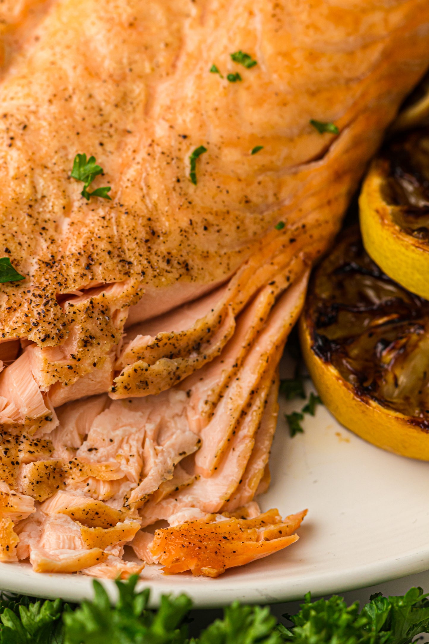 Ninja Woodfire Salmon