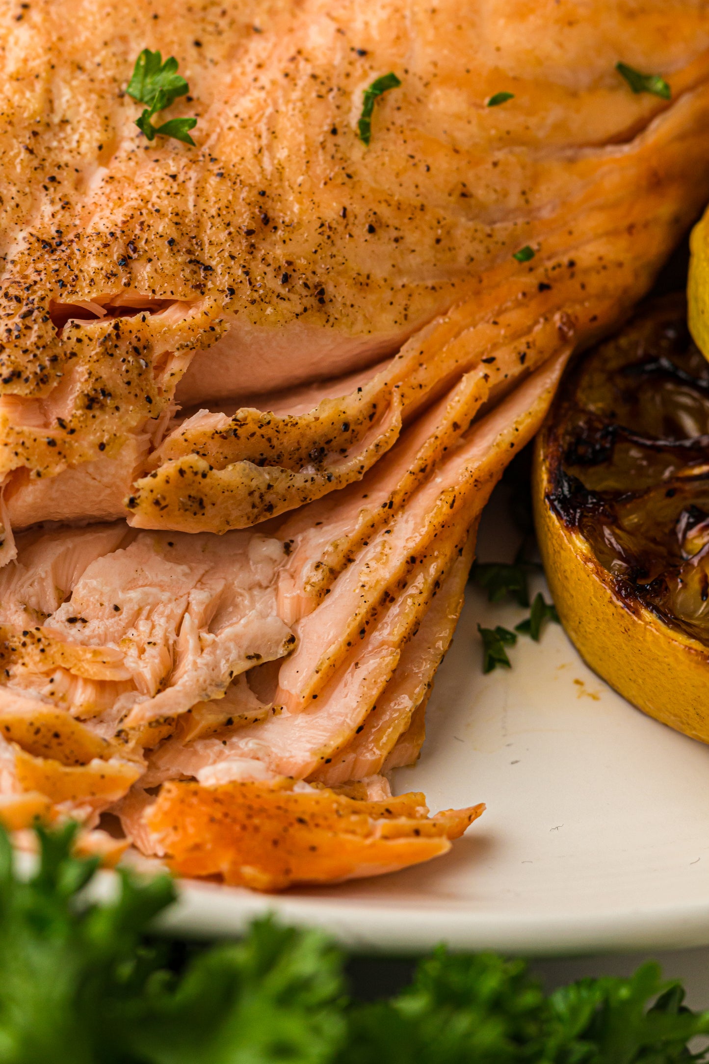 Ninja Woodfire Salmon